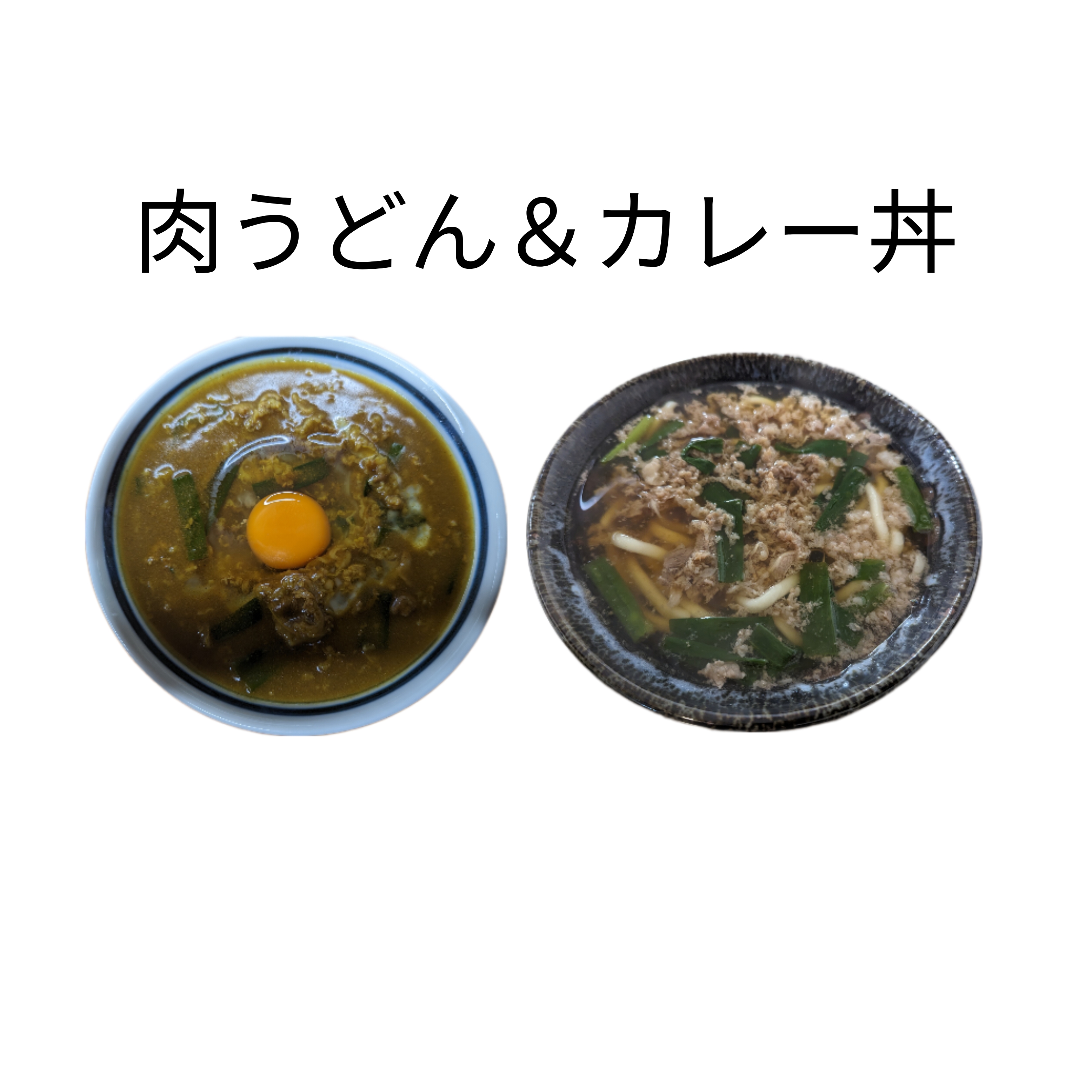 肉うどんとカレー丼の病みつきセット